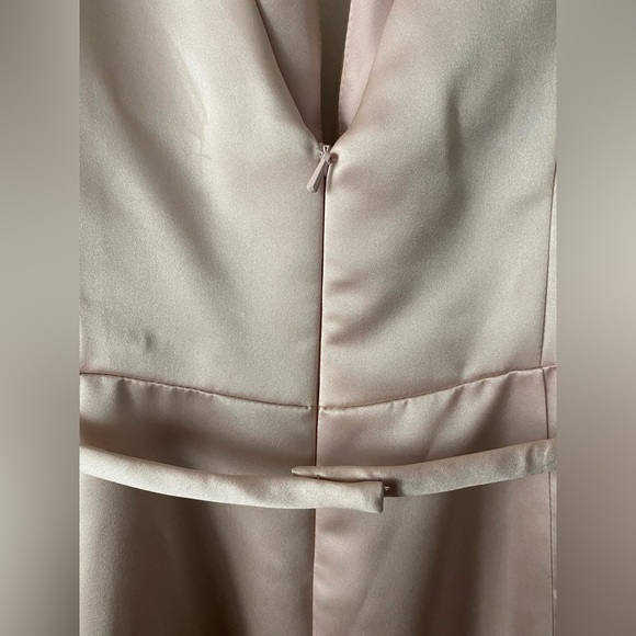 Sorella Vita Blush Pink Bridesmaid/Prom/Evening Dress - Picture 8 of 16